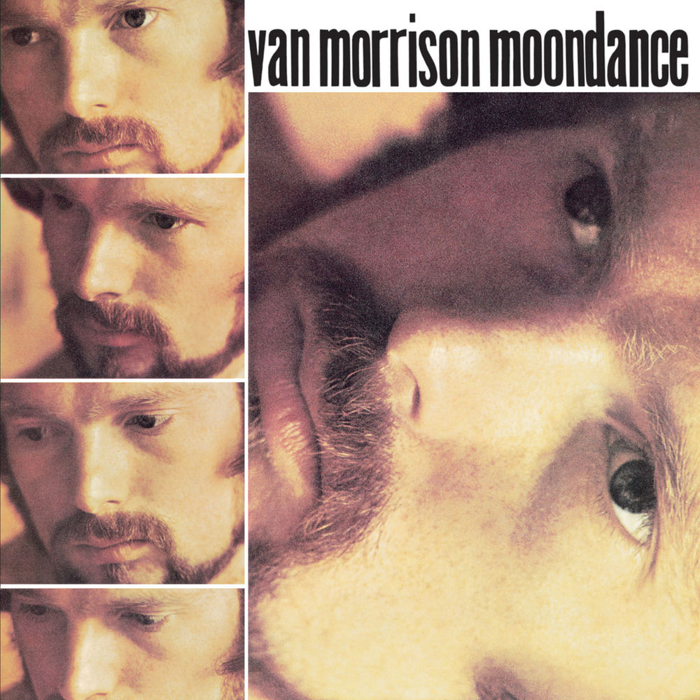 Moondance album cover, Van Morrison